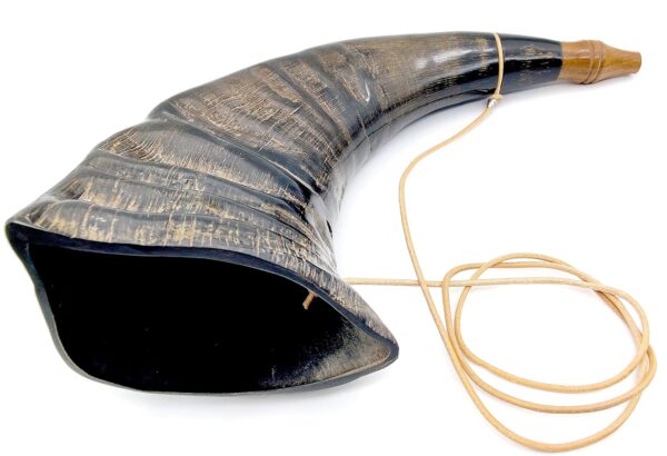 Viking War Horn Genuine Buffalo Horn (1)