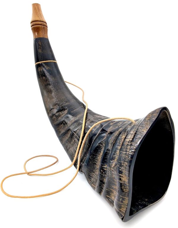 Viking War Horn Genuine Buffalo Horn (3)
